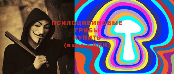 метадон Дмитриев