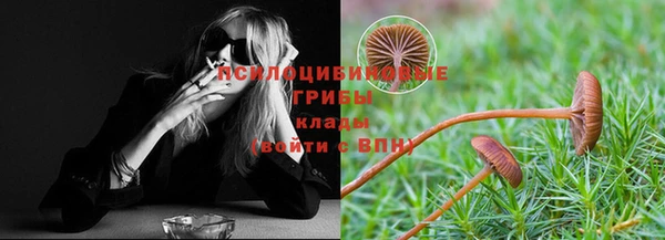 mix Гусиноозёрск
