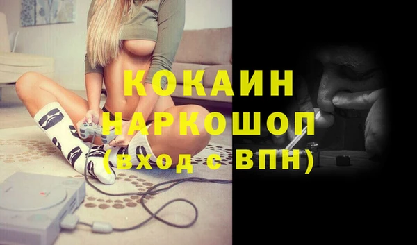 гашик Гусев