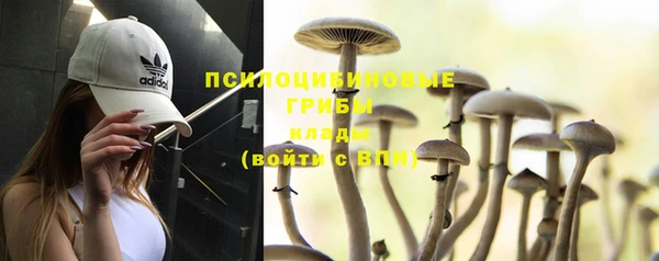 a pvp Дмитров